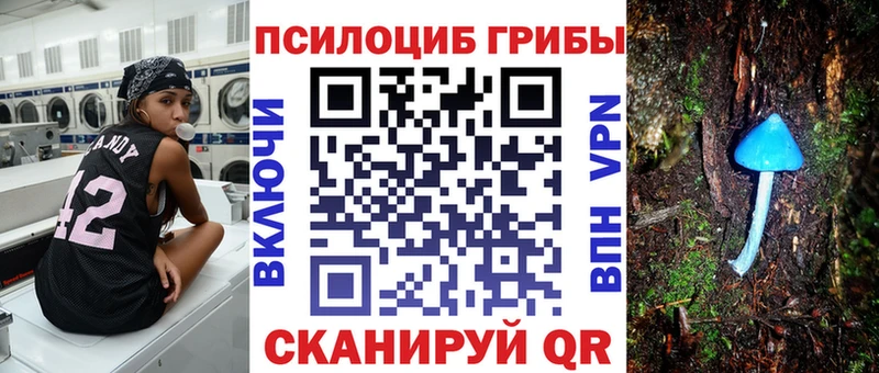 купить наркотики цена  Буй  Галлюциногенные грибы GOLDEN TEACHER 