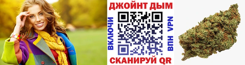 Канабис план  купить  цена  Буй 